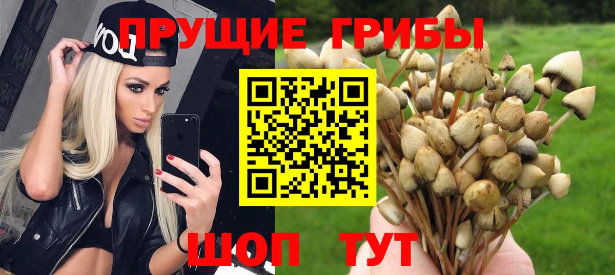 Галлюциногенные грибы Magic Shrooms  Вход с VPN  Белогорск  Псилоцибиновые грибы Psilocybine cubensis 